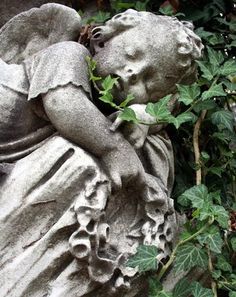 Insight is better th